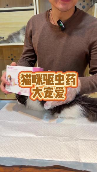 猫咪内外一体的驱虫药就属于大宠爱安全稳定,驱虫种类还多 #大宠爱 #海乐妙 #猫咪驱虫药推荐 #猫咪驱虫药多久一次 #猫咪驱虫药体内外一体