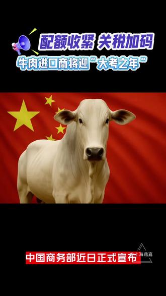 #重磅消息 进口牛肉保障措施2025年12月31日正式落地,国别配额+关税的方法实行#巴西阿根廷乌拉圭澳大利亚新西兰美国