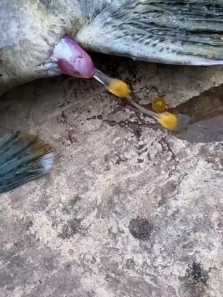 #煲汤#食疗#滋补养生