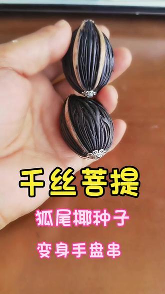 #真实生活分享计划 #绿化带文玩手串 #diy手串 #狐尾椰 #千丝菩提 自己手搓一个手把件,是很惬意的事😊