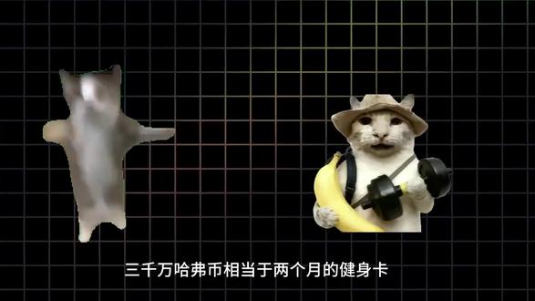 今日哈弗币最新比例,最新行情!#三角洲行动 #哈弗币