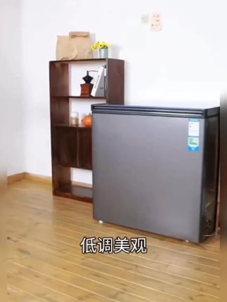 #冰柜#大容量冰柜#家用冰柜#海尔冰柜#冰柜推荐