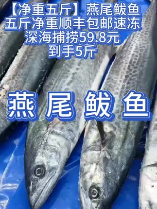 #我要上热门 #燕尾鲅鱼#一根主刺#大海的馈赠#老少皆宜@DOU+小助手