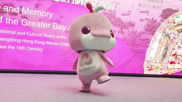 看不腻的鸡舞,黄金比例妹宝鸡虽然看着呆萌呆萌的,舞起来真的很曼妙 #大湾鸡#黄金比例妹宝大湾鸡 #黄金比例大湾鸡
#真实生活分享计划