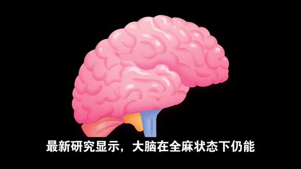 关于宇宙整体和个体关系的思考