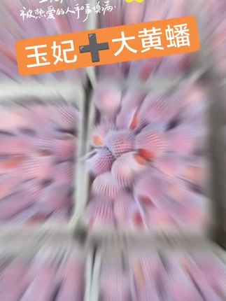 玉妃大黄蟠现摘现发新鲜到家