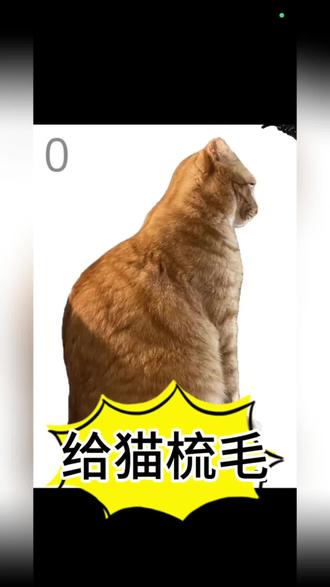 @光环助手APP @光环助手APP #光环助手 给猫梳毛手游哪里可以下载 #给猫梳毛 #游戏推荐