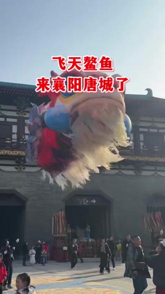 鳌鱼腾空表演,绝对是襄阳唐城春节期间最值得打卡的项目。唯有亲临现场、亲眼目睹,才能真切感受到近距离观赏鳌鱼所带来的视觉震撼!#襄阳唐城影视基地 #襄阳游玩推荐 #春节出游 #假日游玩好去处 #旅行推荐官