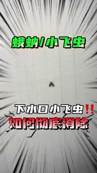 下水口小飞虫,如何彻底消除? 卫生间老是密密麻麻乱飞的小黑飞,怎么都灭不完,千万别再乱拍了!这种虫子叫蛾蚋,也叫蛾蠓,专门滋生在卫生间地漏、下水口、墙角积水和发霉缝隙里。常年潮湿脏乱的下水道污垢,就是它们产卵繁殖的温床,几天就能滋生一大群。不光到处乱飞讨人厌,还沾满细菌脏东西,落在皮肤、毛巾上很容易引发瘙痒过敏。想彻底根除卫生间蛾蚋,最安全有效的方法,就选含呋虫胺的杀虫剂。成分安全无色无味,直接倒在地漏、下水口、或喷洒墙角缝隙就行,喷完形成隐形药膜,成虫虫卵一网打尽,从根源再也不会反复滋生。
#为什么小飞虫如何彻底消除 #下水道小飞虫消杀神器 #家里有小飞虫怎么才能彻底清除 #蛾蚋 #蛾蚋杀虫剂