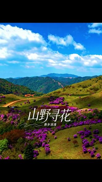 石梨镇鲁南山索玛花海的美景值得推荐#索玛花 #鲁南山 #抖音