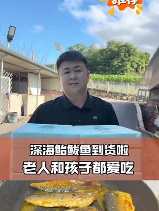 一卤盐鲐鲅鱼片五包/每包5片#鲅鱼 #海鲜 #优质海产品 #美食推荐 @DOU+小助手 @DOU+好生意