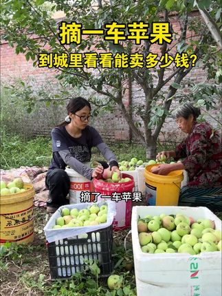 生活的甜 不在收获多少 而在和谁分享剩下的时光