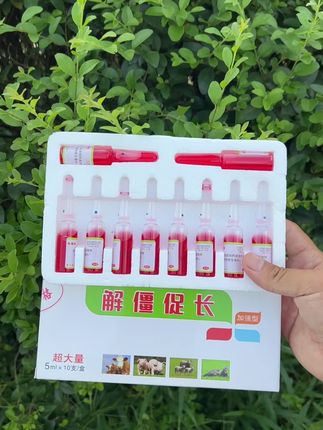#自繁自养#养羊人