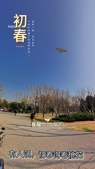 「初春无花亦有春,盘鹰振翅破寒云。
待得桃林开满日,再携纸鸢逐东风。」
#盘鹰风筝
#盘鹰放飞
#初春放风筝
#老有所乐
#北京鹰友