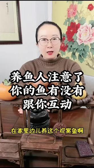 小鱼这样是在跟你互动吗,养鱼人快来了解下#养鱼小知识 #养鱼 #养鱼人 #养鱼的乐趣 @抖音创作小助手