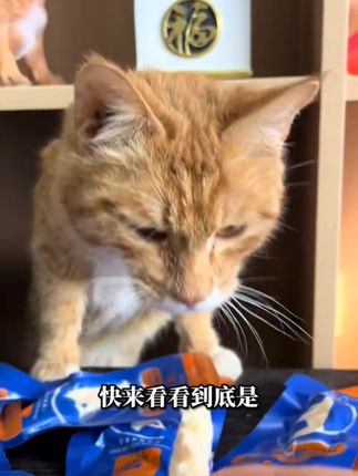 #蒸煮鸡胸肉