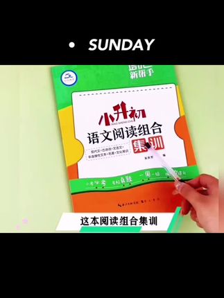 小升初语文阅读理解必刷题人教版六年级阅读练习文言文组合课外阅 #好书推荐 #一起学习 #学习资料分享 #学习小帮手 #教辅推荐