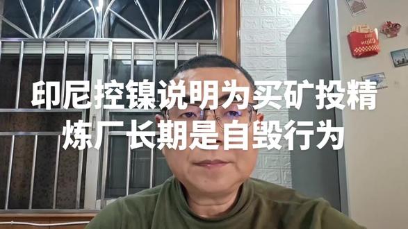 印尼控镍说明为买矿投精炼厂长期是自毁行为