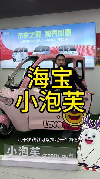 不怕风吹雨晒的电动三轮车海宝的小泡芙推荐给你#海宝小泡芙#海宝篷车#过节送礼