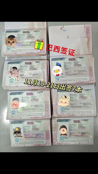 巴西签证正常出签#巴西签证 #巴西旅游