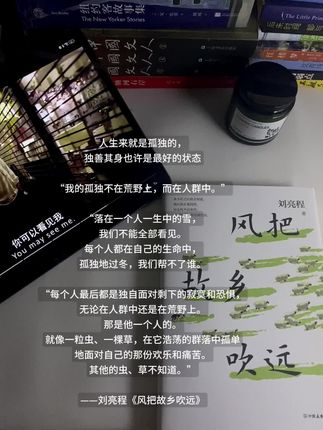 “我的孤独不在荒野上,而在人群中。”#刘亮程 #风把故乡吹远 #书摘 #一个人的生活 #情感共鸣