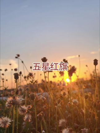 如果情怀有颜色,那一定是中国红!#我爱我的祖国 #国庆#五星红旗迎风飘扬 #五星红旗🇨🇳#五星红旗高高挂