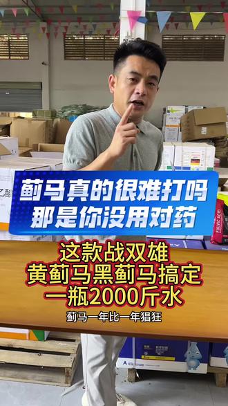 蓟马真的很难打吗?那是你没用对药,抗性蓟马黄蓟马黑蓟马,就用战双雄苦参碱,一瓶2000斤水,一件20瓶整件拍更划算