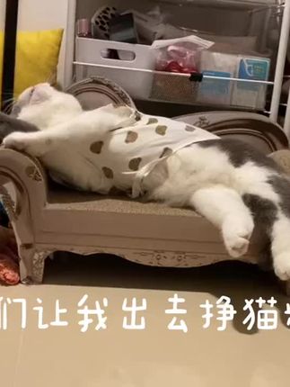 我家猫咪这是在演“罢工”吗?懒洋洋的样子太治愈了🐱沙发都快躺不住它了! #萌宠出道计划 #猫咪的迷惑行为
