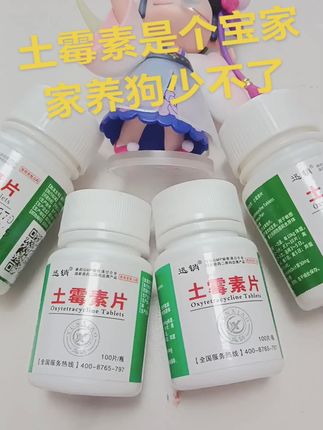 #养狗#养狗的乐趣 #养狗经验分享 #科学养宠攻略 #宠物知识