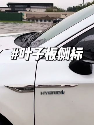 丰田不锈钢叶子板侧标,3M的防水背胶无痕粘贴,装上它整个车身侧面都很有档次!#强烈推荐 #汽车好物 #丰田 #亚洲龙