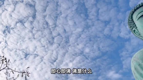 摘录蔡志忠老师的漫画《达摩破相论》
中达摩《观心论》
第三问:了见自心(二)即心即佛