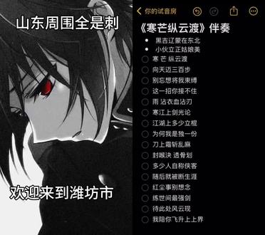 山东周围全是刺 欢迎来到潍坊市 #另类喊麦