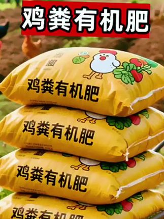 种菜养花不施肥,你想糊弄谁?这些菜刚栽下去,瘦不拉几的,撒了粪肥后就疯狂的生长。#有机肥 #绿植种植 #蔬菜种植 #鸡粪
