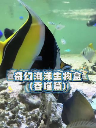 都开始异兽吞噬了! #诺亚方缸