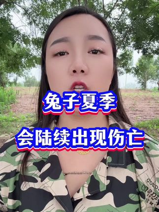 #新手养兔#兔子中暑#兔子不吃食#肉兔