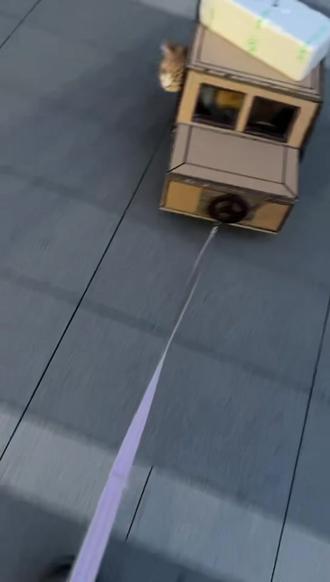 老爸做的纸板车,升级了轮毂和底盘,可以拖快递噢。这车可以让皮皮坐里面兜风,上面拿快递,实用度max#谁还没个隐藏技能 #这猫有点子技术在身上 #纸板 #手工diy #橘猫