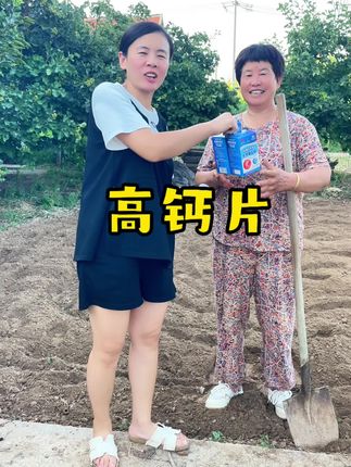 无蔗糖的高钙片#超便宜超划算 #高钙片#无蔗糖高钙片