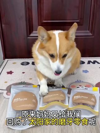 #萌狗 #养狗日常 宠物狗狗磨牙软骨洁齿鸭脖鸭软骨月牙骨#养狗经验分享 #不养狗不知道养狗的乐趣 #狗零食