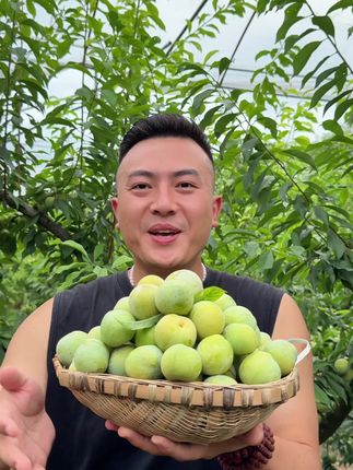 脆甜爽口,风味浓郁,这样的汇奉源蜜脆李你喜欢吗?#李子#汇奉源蜜脆李#新鲜应季水果
