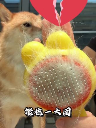你家是不是也有掉毛怪?每天打扫卫生到崩溃 #卫仕爆爆桶 #科学养宠攻略 #萌宠好物 #猫粮 #宠物狗粮