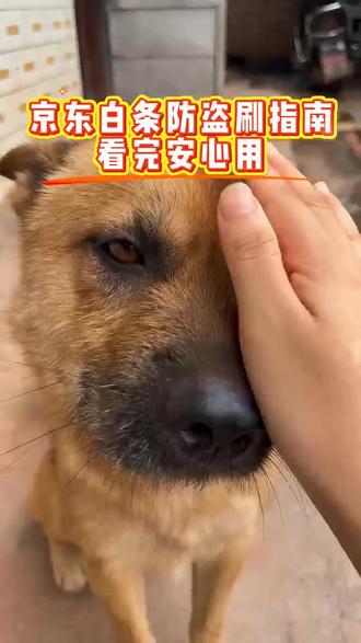 用京东白条的姐妹别大意,一分钟设置,安全一整年.#京东白条 #京东金融 #分期免息 #金融知识分享 #防盗刷