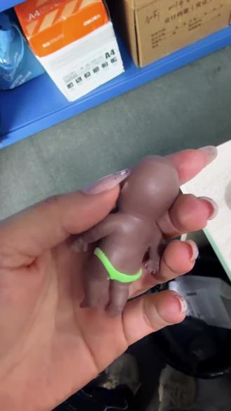 这应该是全网最幸福的娜塔莎了吧?#娜塔莎 #娜塔莎日常生活