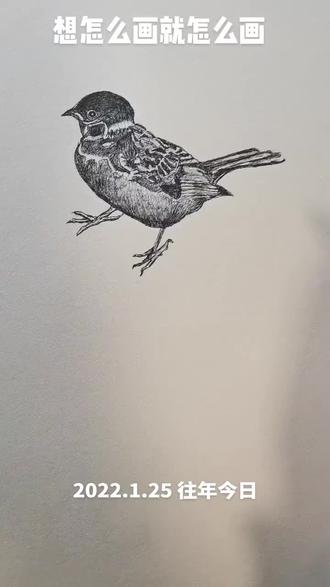 原创手绘,一笔一画勾勒出麻雀的灵动。🎨🐦享受绘画的静谧时光。#每日一画 #原创手绘