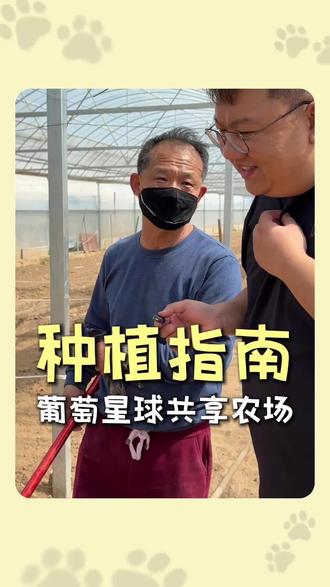 30平菜地都能种什么 #共享菜园 #北京共享菜地 #一起种地吧