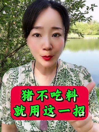 猪不吃料就用这一招 #养猪 #养猪人 #养猪人加油干 #养猪人不容易 #猪不吃 猪不吃料就用这一招
