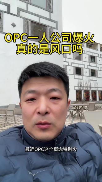 OPC一人公司爆火,真的是风口吗?
#AI创业 #一人公司 #现实清醒 #AI雕塑 #个体创业