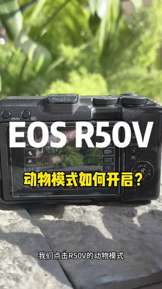 宠物识别-宠物对焦如何开启?
#佳能创意视频机#佳能R50v
