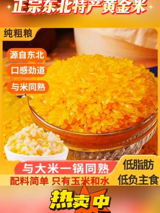 正宗东北特产黄金米低脂肪粗粮营养五谷杂粮玉米5斤装#正宗东北特产 #正宗东北特产黄金米 #黄金米 #黄金米饭 #黄金米粗粮