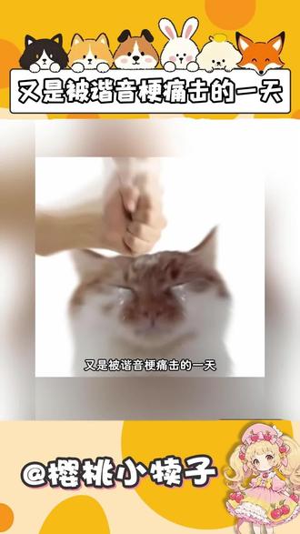 又是被谐音梗痛击的一天#谐音梗 #抽象 #游戏 #闺蜜你真得来一下