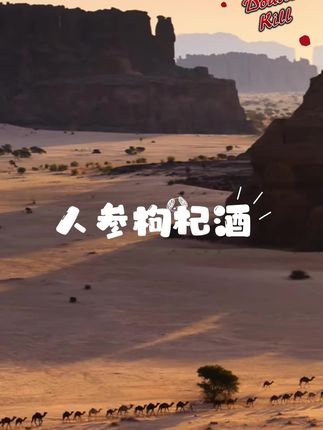 #人参枸杞酒 #小杯酒 #酒